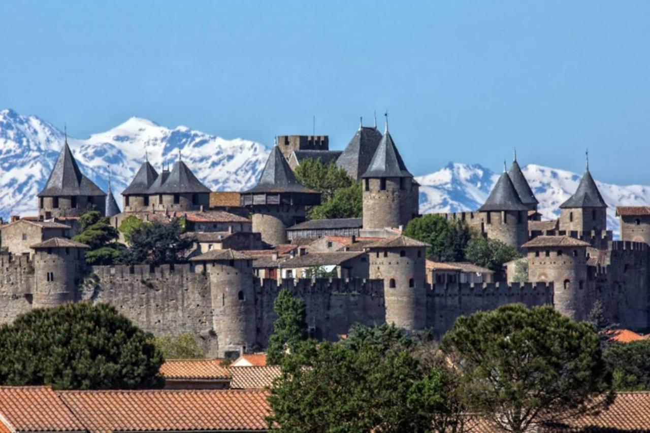 Appartement Proche Cite Medievale Et Centre Ville - Parking Prive Carcassone Kültér fotó